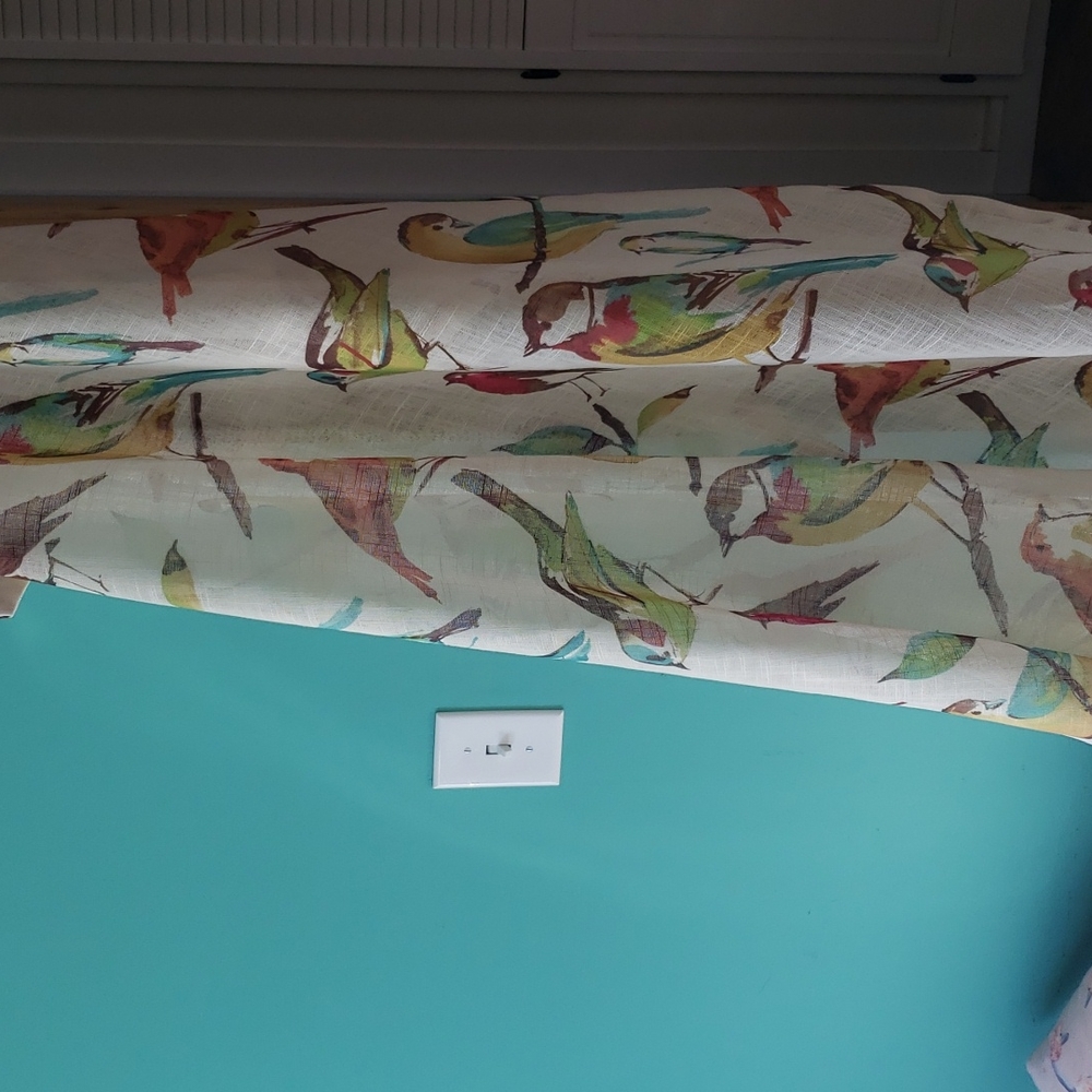PIER 1 IMPORTS Curtains (2 Panels) Colorful Birds and Throw Pillow